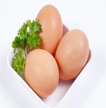 Ăn nhiều trứng có tốt không?