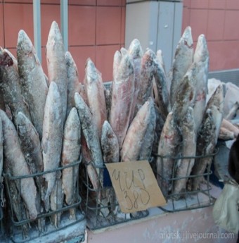 Đặc sản cá sống lạnh buốt răng của Nga