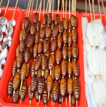 Thưởng thức 5 món đệ nhất côn trùng tại Bắc Kinh