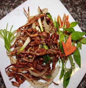 Về rừng Nam Cát Tiên thưởng thức món "vũ nữ chân dài"