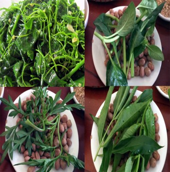 Rau nhái bờ bụi miền Tây đi "chuyên cơ" ra Hà Nội