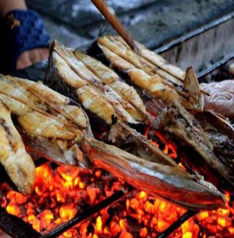 Về Cửa Lò ăn cá thu nướng than hồng
