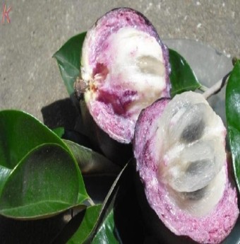 Những trái cây tưởng giải nhiệt mà lại gây nóng trong