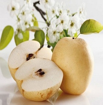 Cách phân biệt lê Trung Quốc với lê Việt Nam