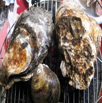 Tới đảo rùa khám phá món ngon