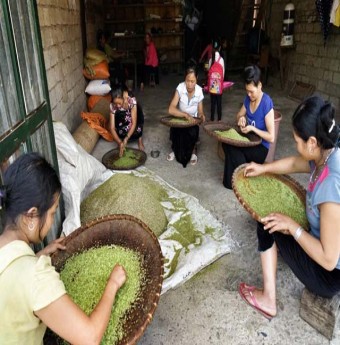 Dẻo thơm cốm Tú Lệ đặc sản Tây Bắc