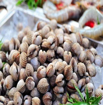 Mẹo chọn mua và làm sạch ngao, sò, ốc cho bữa cơm hè ngon lành