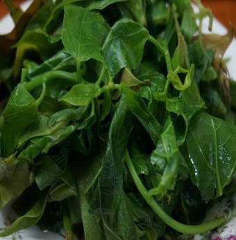 Thèm chút rau rừng Cù Lao Chàm
