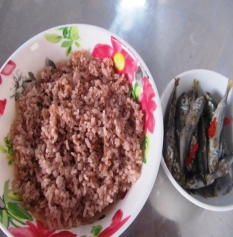 Nhớ cơm gạo đỏ núi rừng Phú Yên