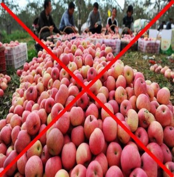 Tiết lộ rợn người của chủ buôn hoa quả Trung Quốc 15 năm