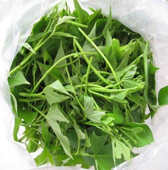 Rau khoai lang chữa bệnh