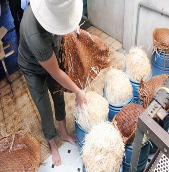 Ớn lạnh làm giá đỗ 'siêu tốc' bằng hóa chất Trung Quốc