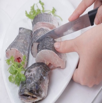 Cá Lóc Miền Nam