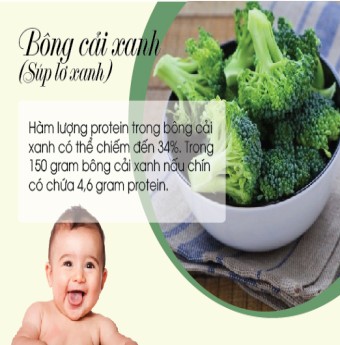 Những thực phẩm giàu protein cho bé