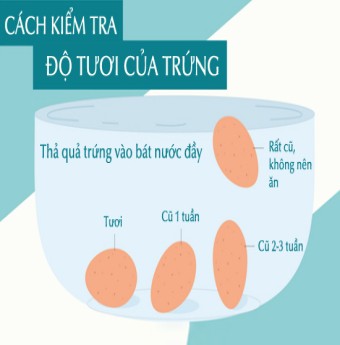 Bí quyết chọn trứng, luộc trứng cần biết ngay