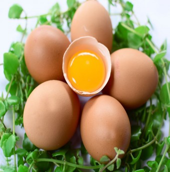 Những bài thuốc chữa bệnh từ trứng gà bạn cần biết