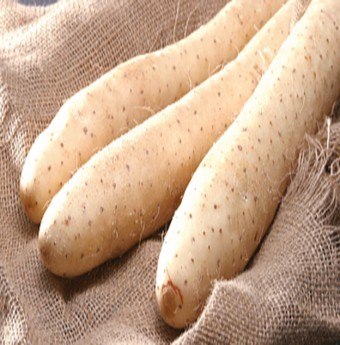 Trời lạnh nhớ khoai từ