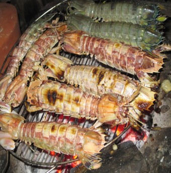 Thưởng thức món tôm tít 