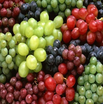 Tác dụng của trái nho 