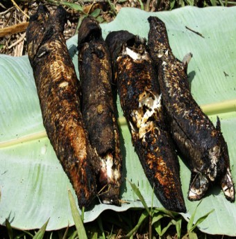 Những món ăn đặc trưng của đồng ruộng Nam Bộ