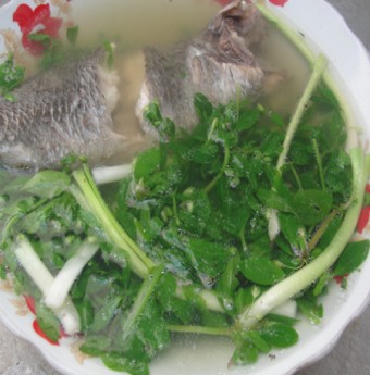 Thưởng thức món "rau đắng" của miền Tây Nam Bộ 