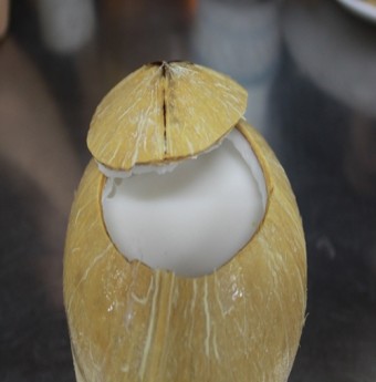Rau câu trái dừa giải nhiệt mùa hè