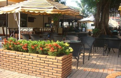 Nhà hàng Café-Tuyết