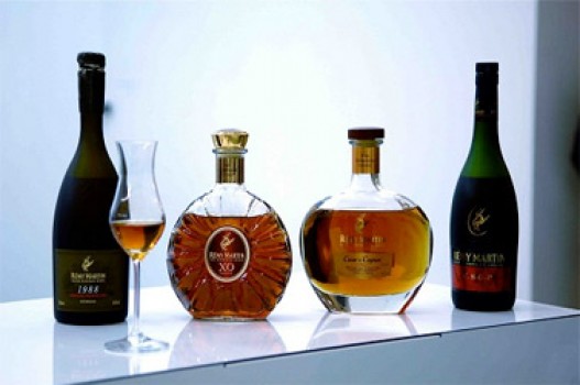 Rượu Cognac | Khám phá rượu cognac | Rượu ngon của Pháp |