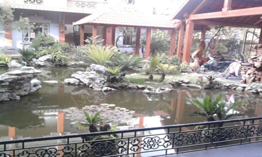 Nhà hàng Thủy Linh