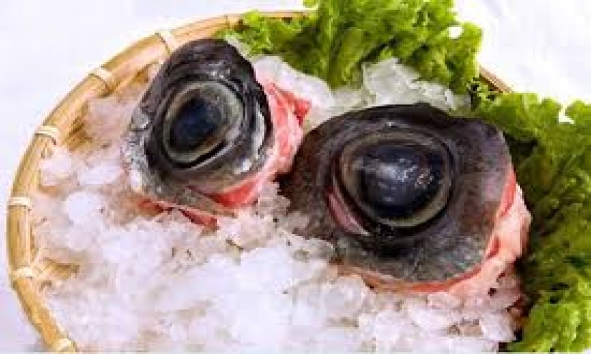 Nhà hàng Bình Hà - Mắt cá ngừ đại dương