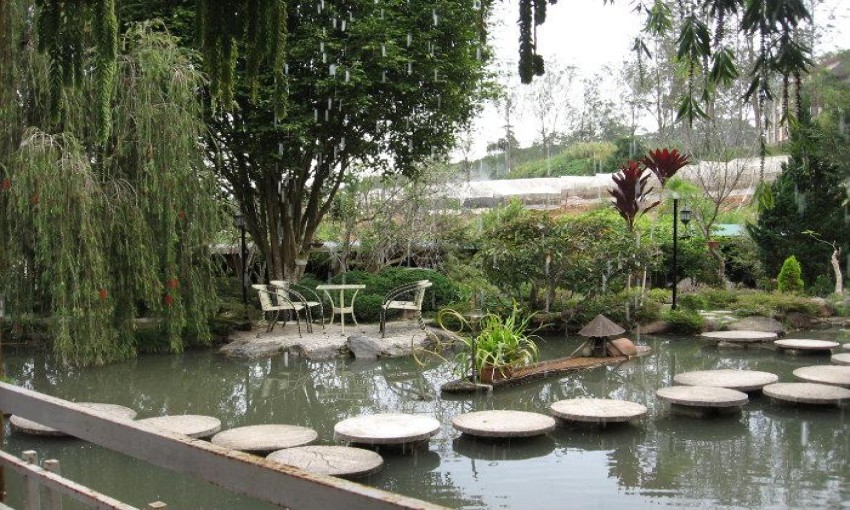 Nhà hàng Rainy