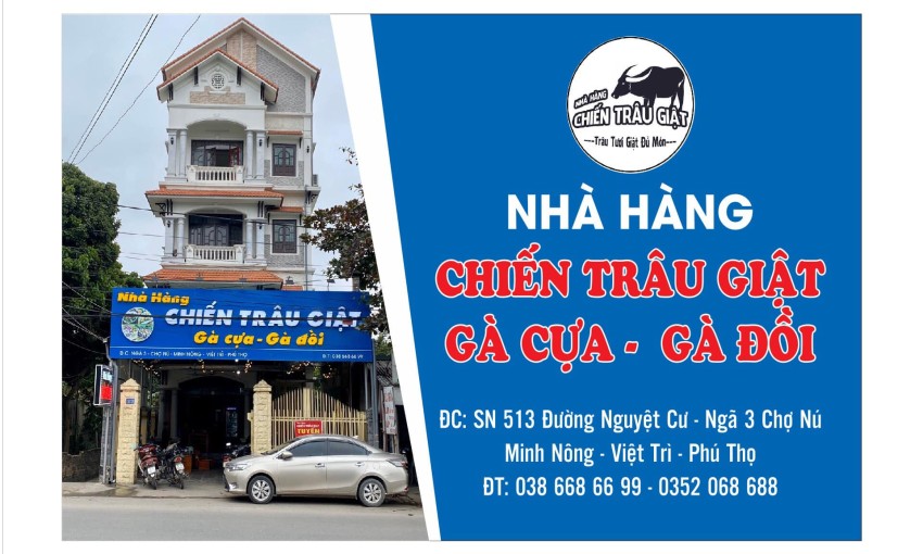 Chiến Trâu giật