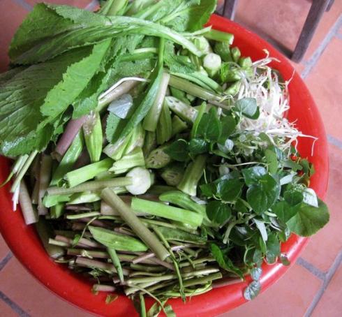 Rau ăn mắm kho