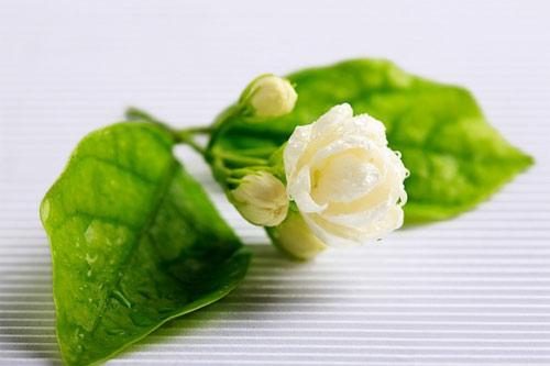 Xinh đẹp hơn với trái cây mùa hè, Chăm sóc da, Làm đẹp, Làm đẹp với hoa quả mùa hè, Làm đẹp, lam dep voi hoa qua, lam dep tu nhien, lam dep tu dau tay, lam dep tu cam