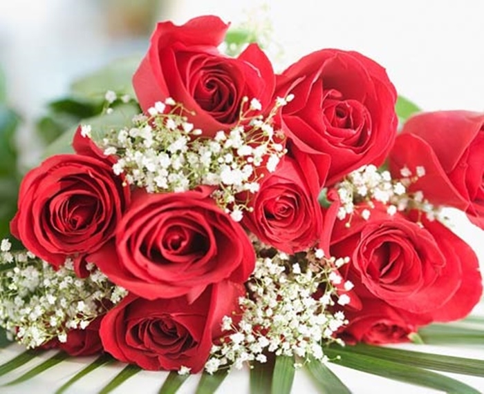 Hoa tặng người yêu là một cách thể hiện tình cảm và sự trân trọng đối với người đó. Hãy cùng chiêm ngưỡng hình ảnh những bông hoa đặc biệt được tặng cho người yêu và cảm nhận tình yêu đích thực.