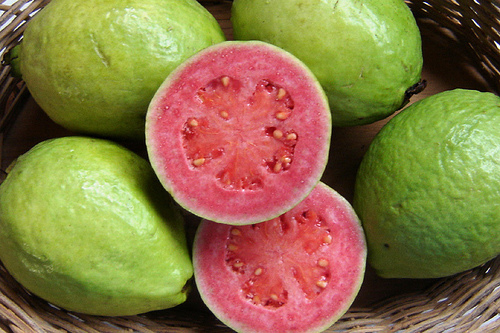 quả ổi 1