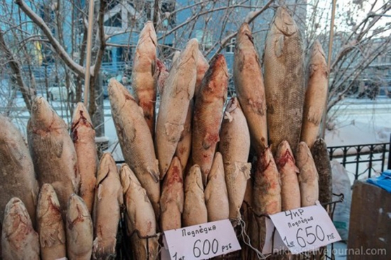 Đặc sản cá sống lạnh buốt răng của Nga