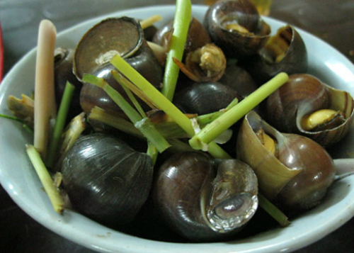 Ốc luộc nóng