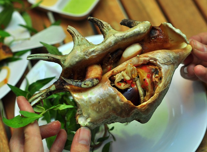 Ốc bàn tay Ốc bàn tay