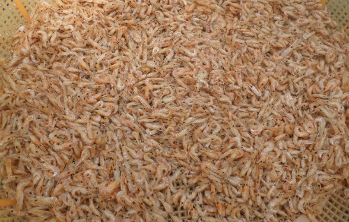 Tép chua của người Tày