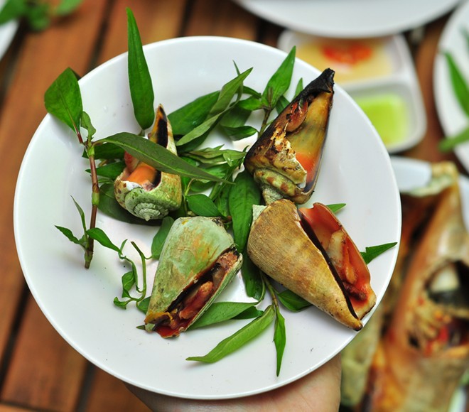 Ốc nhảy đỏ Ốc nhảy đỏ