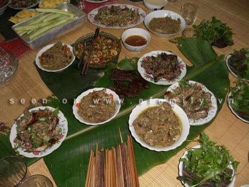 Thịt mèo
