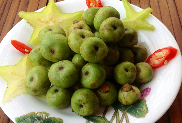 Sung muối khế
