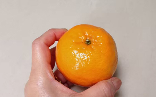 Cách tỉa quả cam đẹp 1