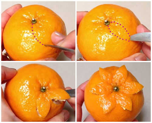 Cách tỉa quả cam đẹp 2