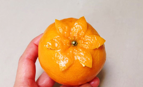 Cách tỉa quả cam đẹp 3