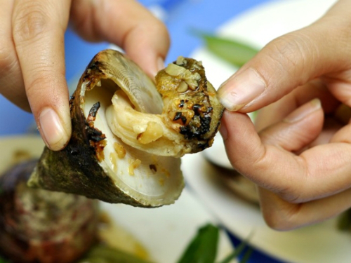 Ốc vú nàng