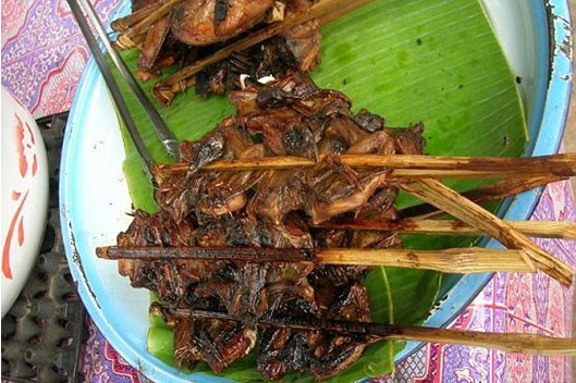 Món dơi nướng