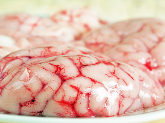 Óc lợn
