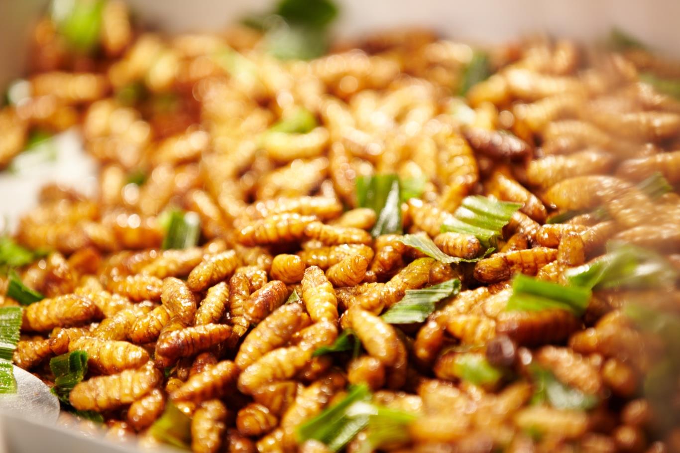 Nhộng ong